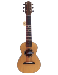 Microguitar® - Compact and Innovative Classical Guitar | microguitar.it 2