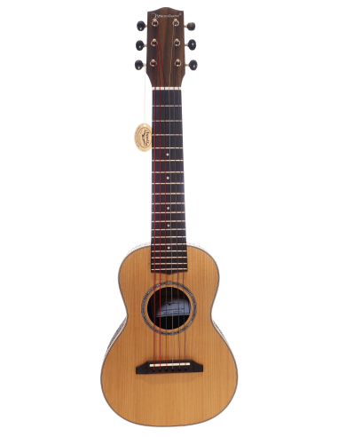 Microguitar Vorderansicht mit leichter Neigung: Details des Körpers und des tragbaren Designs.