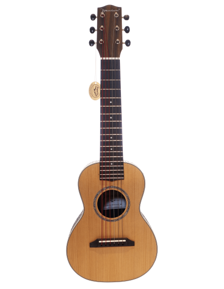 Microguitar vue de face légèrement inclinée : détails du corps et du design portable