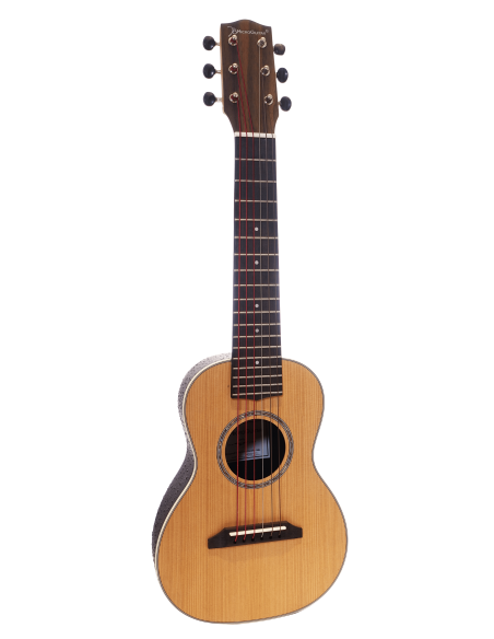 Microguitar® - Chitarra Classica Micronizzata con Corde Innovative